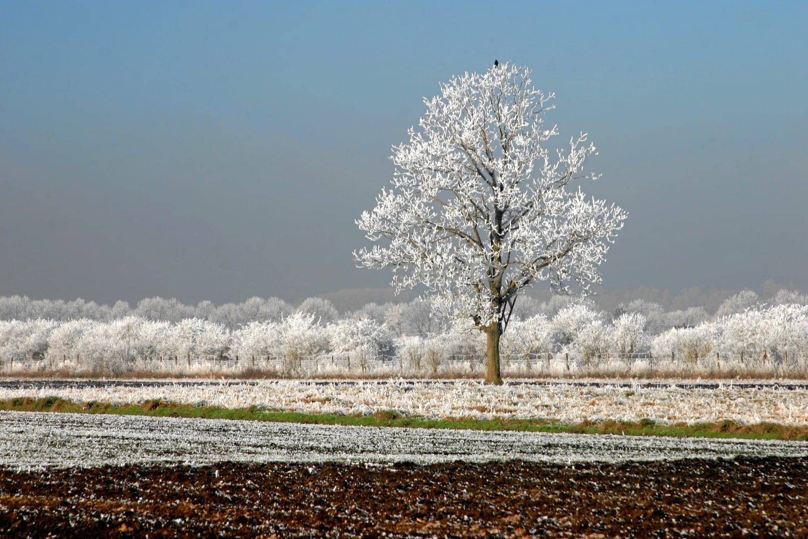 Landscape in Reif