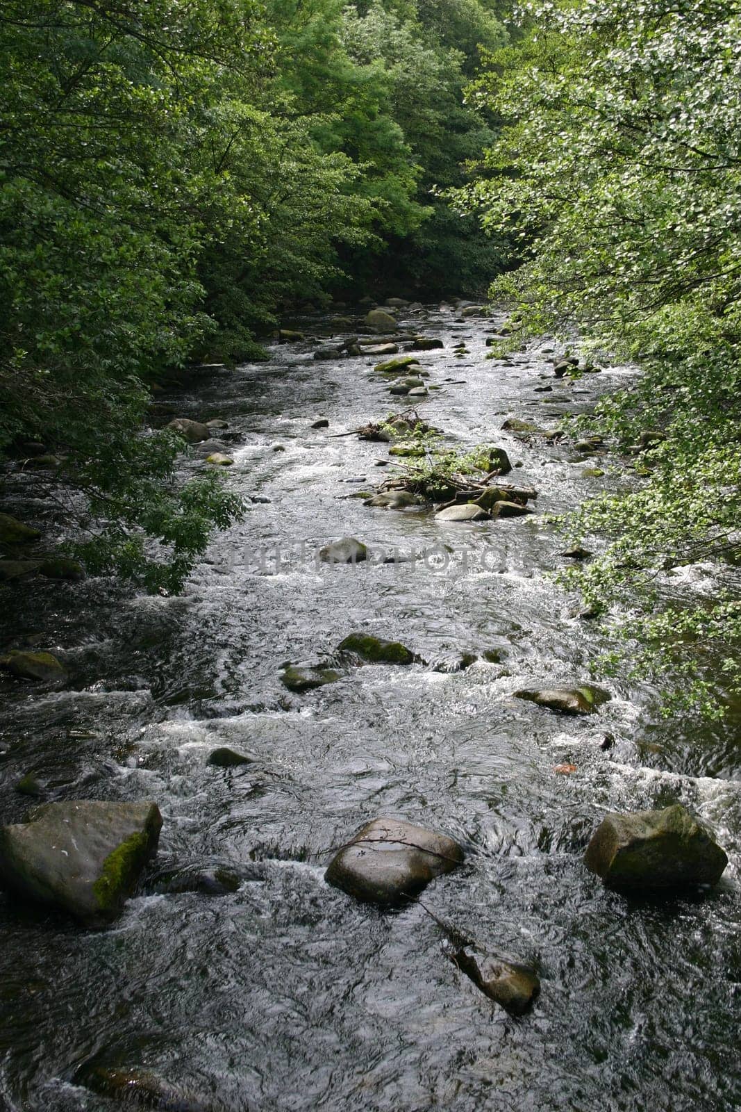 The wild and romantic Bode Valley near Thale in the Harz Mountains