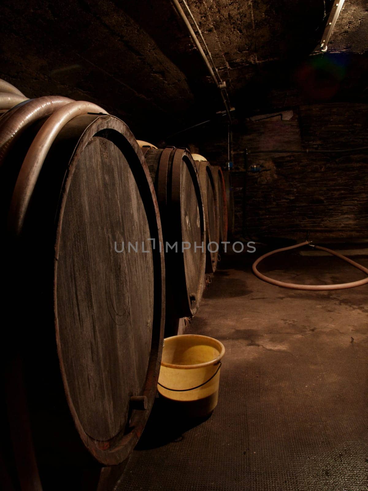 Wine cellar