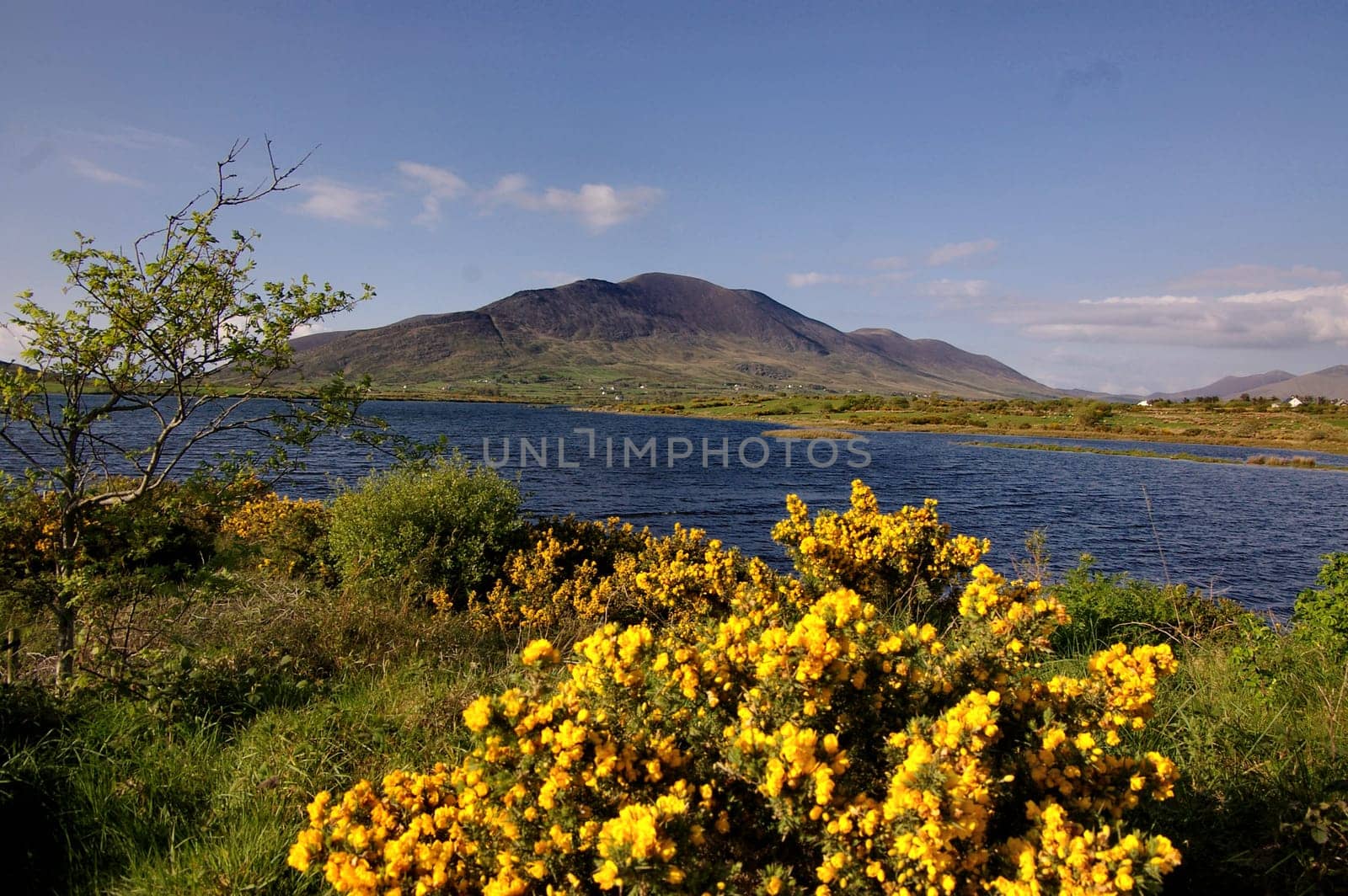 Ring of Kerry - Cahirciveen