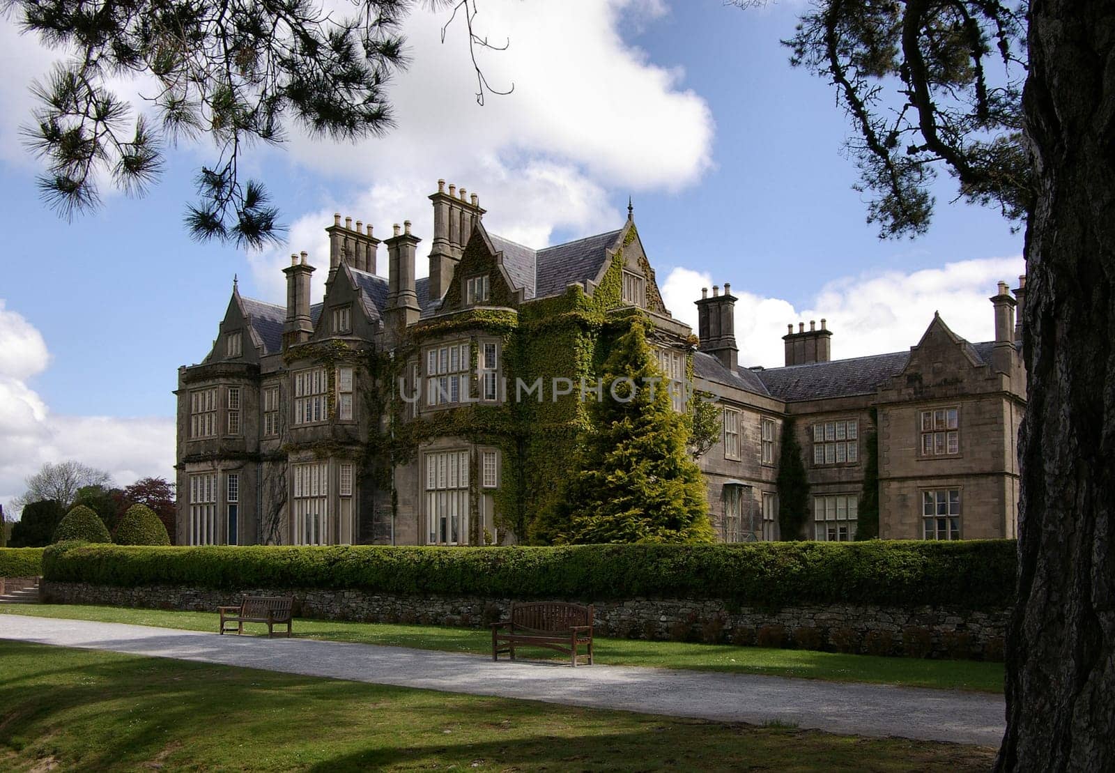 muckross house