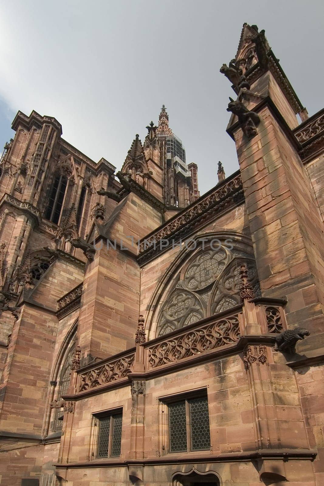 Strasbourg Cathedral 03