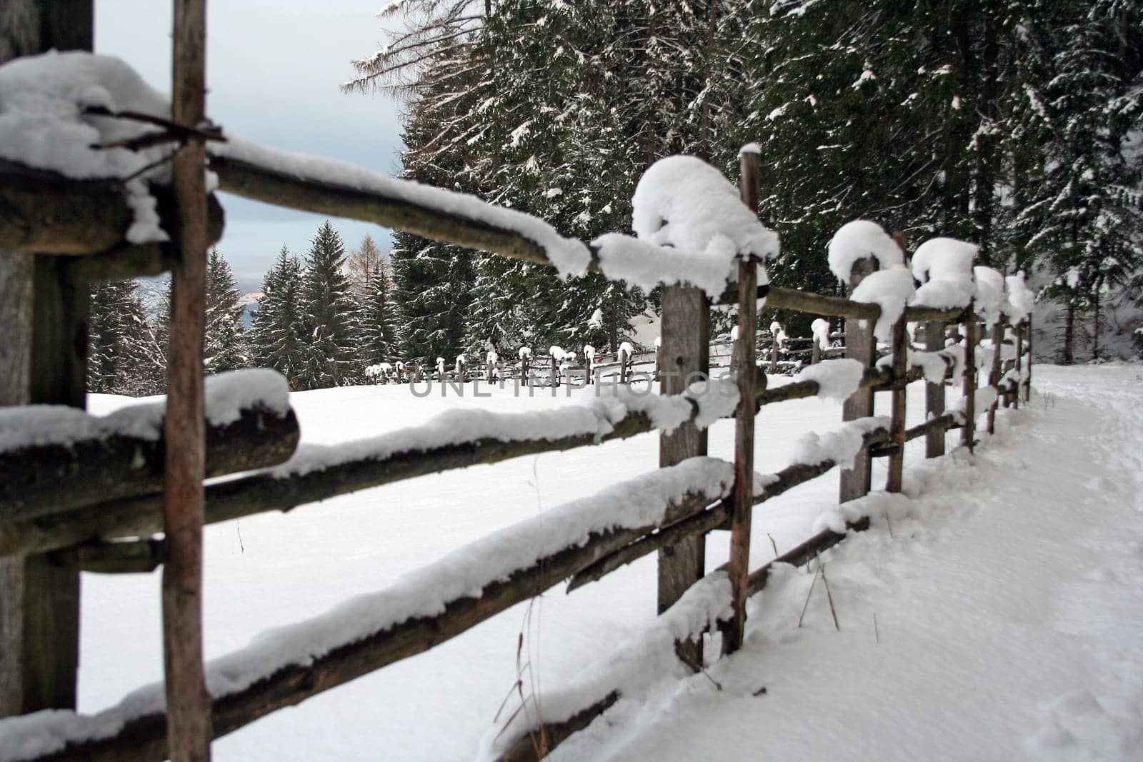 snowy