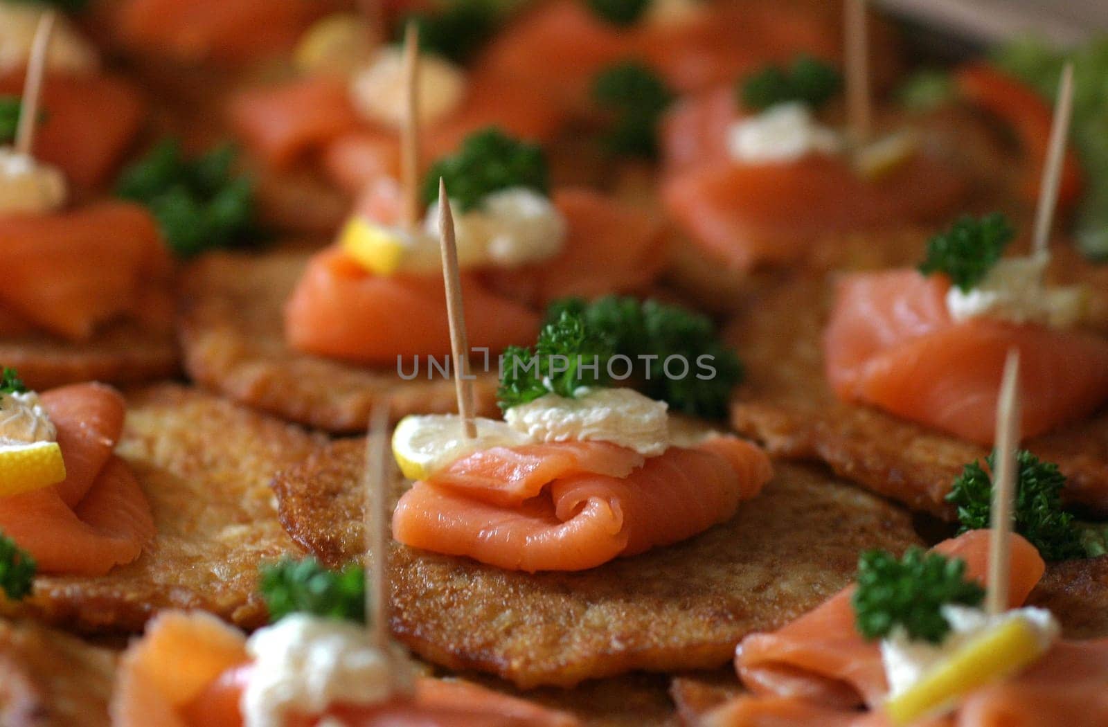 Salmon