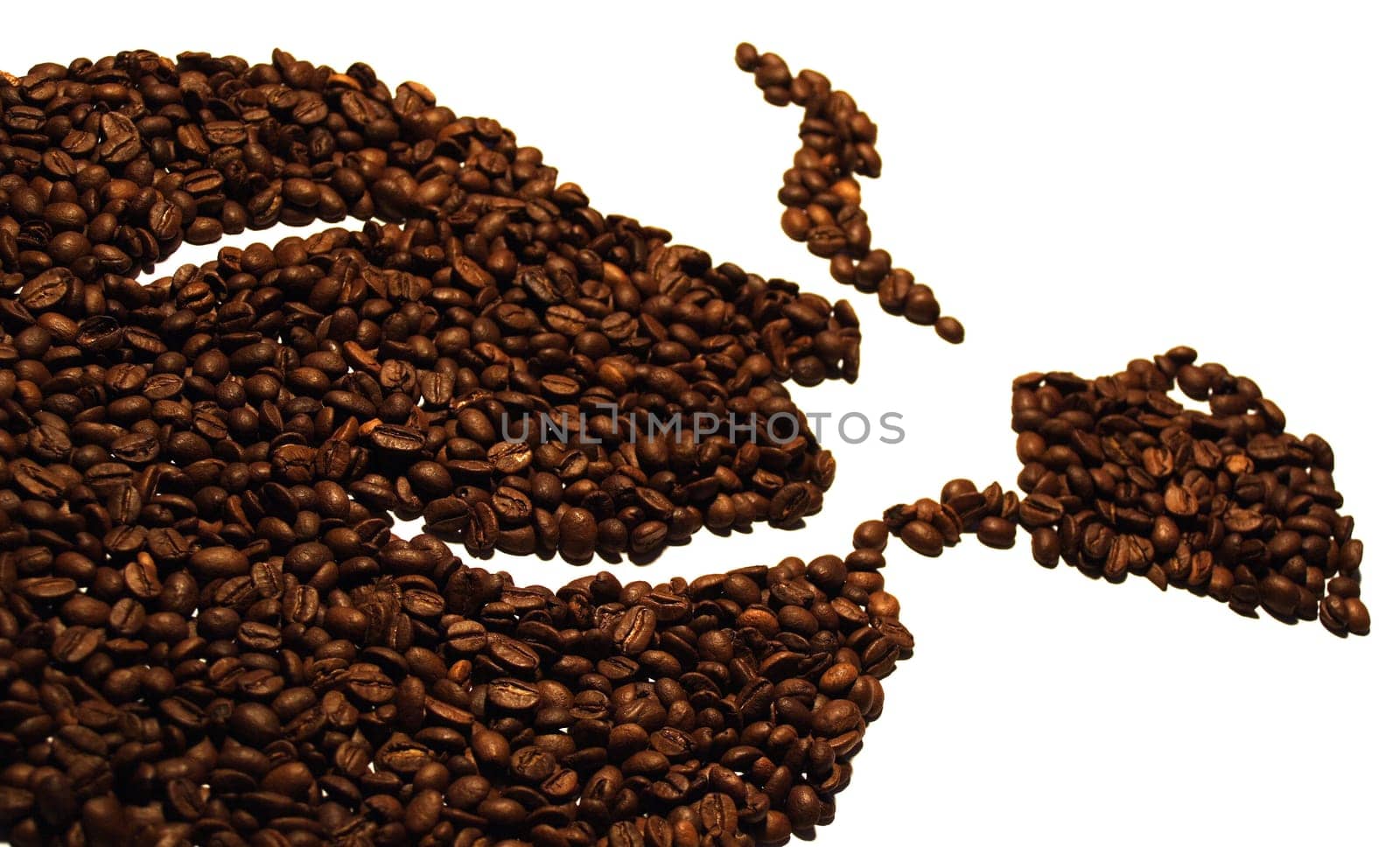The connoisseur
