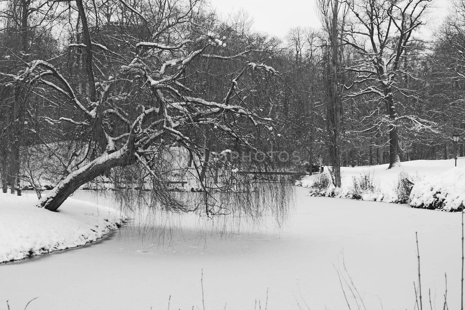 Wilhelmsbad in the snow