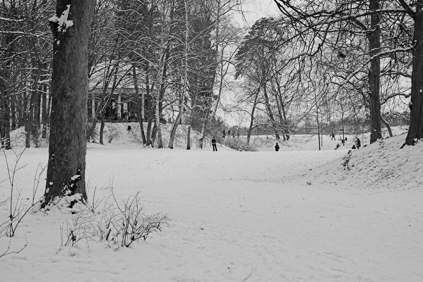 Tobogganing in the park