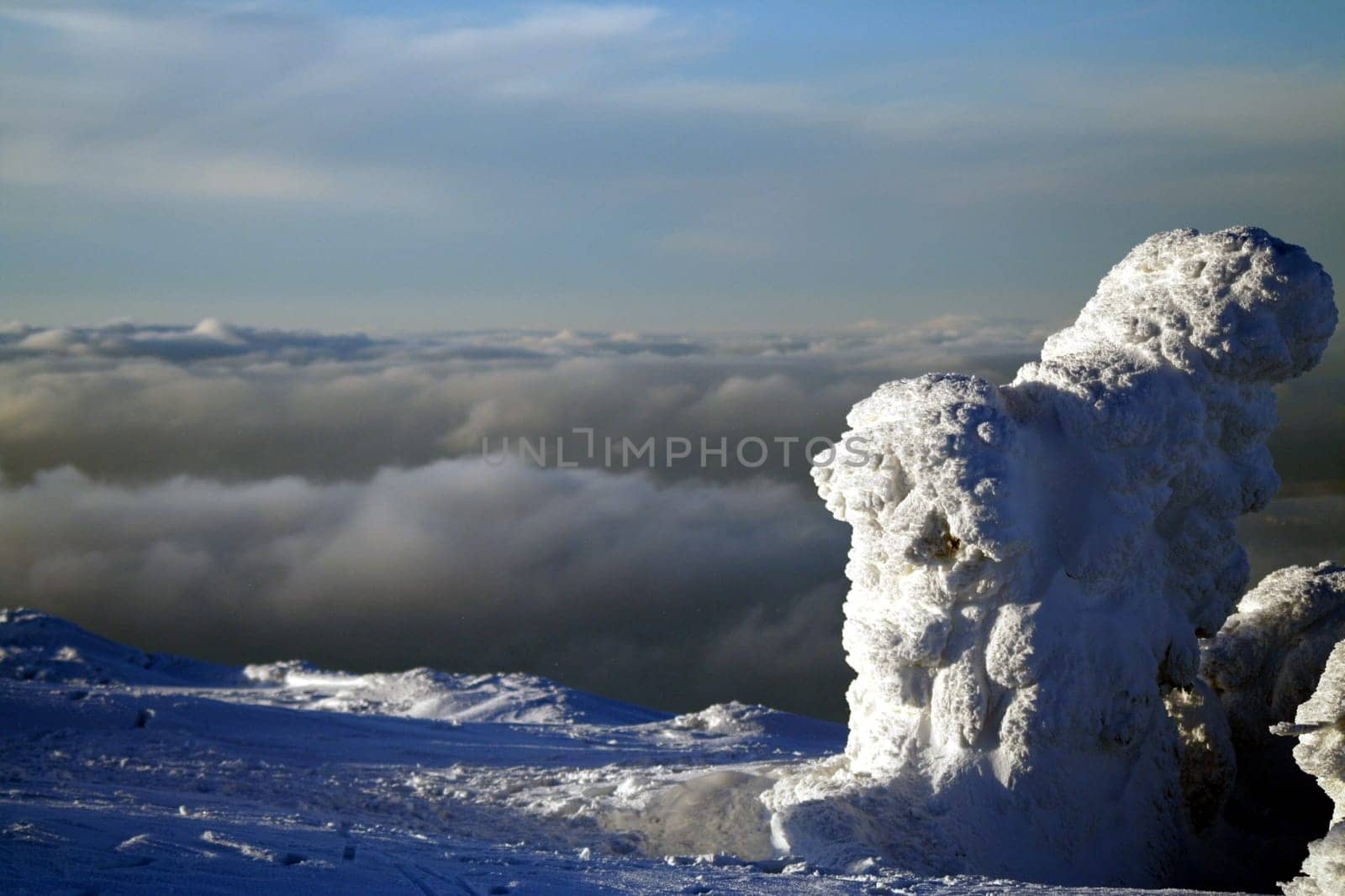 Above the clouds