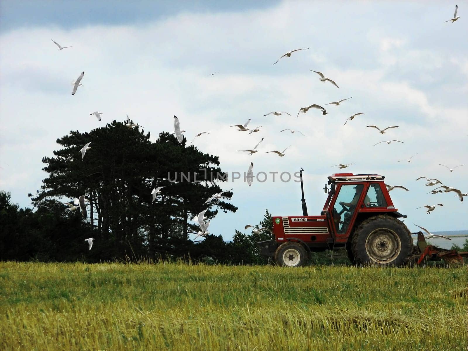 This is how spring passes under work. Then the farmer harvests the fragrant hay. He mows the grain,then threshes it out. In winter there are many wonderful feasts