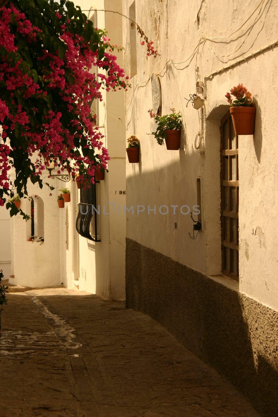 A greeting... from Andalusia