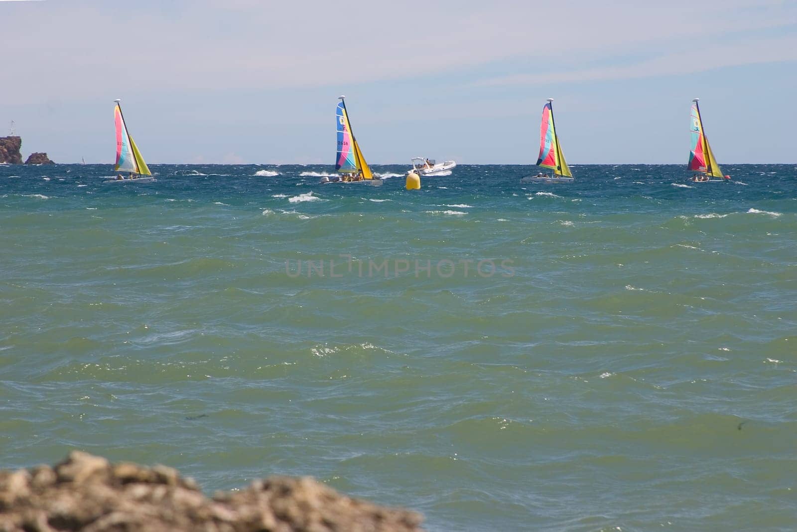 Windsurfers