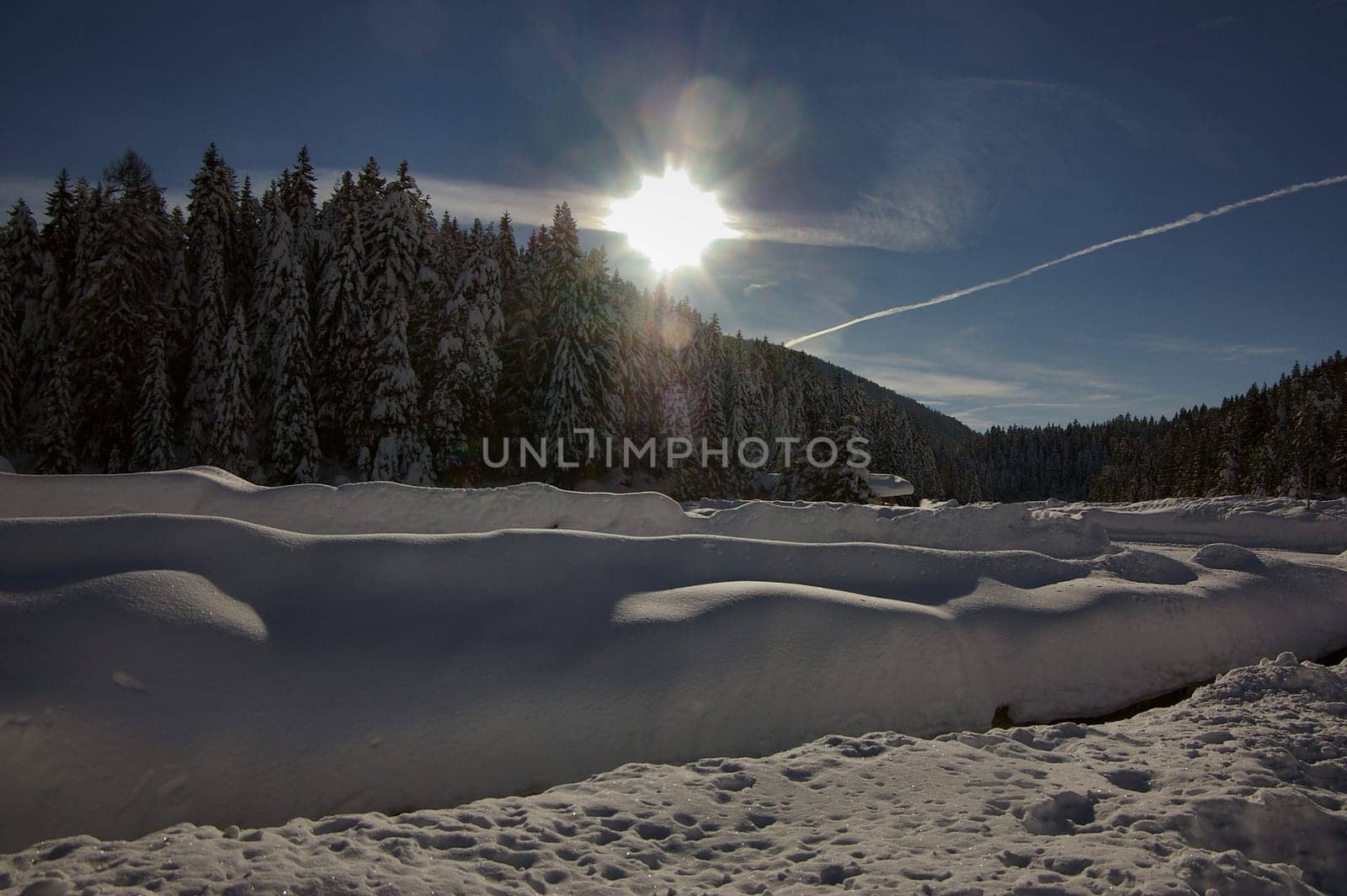 Winter sun