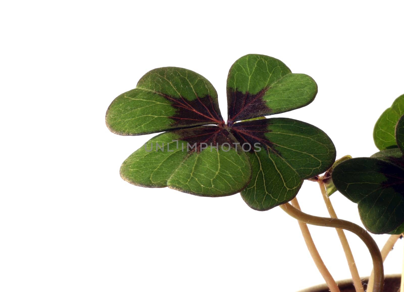 Good luck