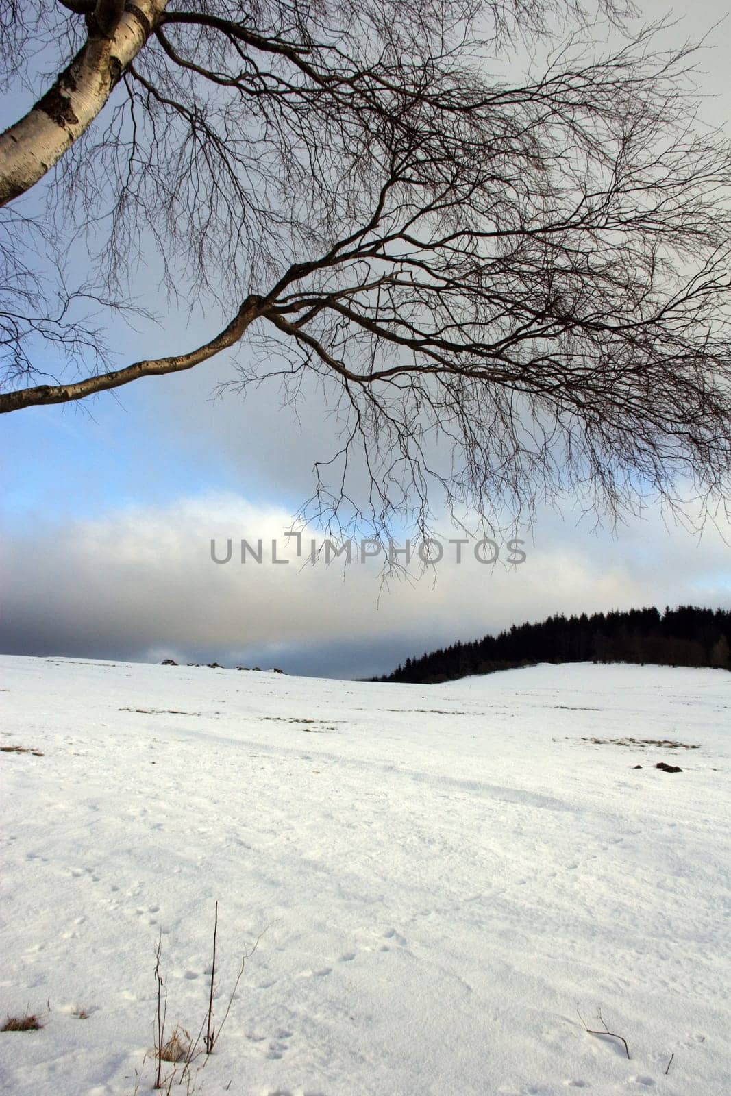 winter or winter snow or winter ice or winter deep snow
