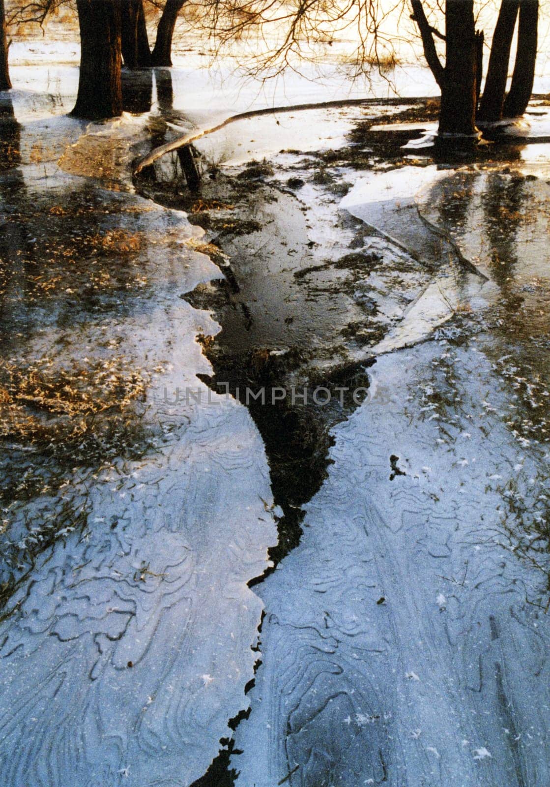 Winter by the river