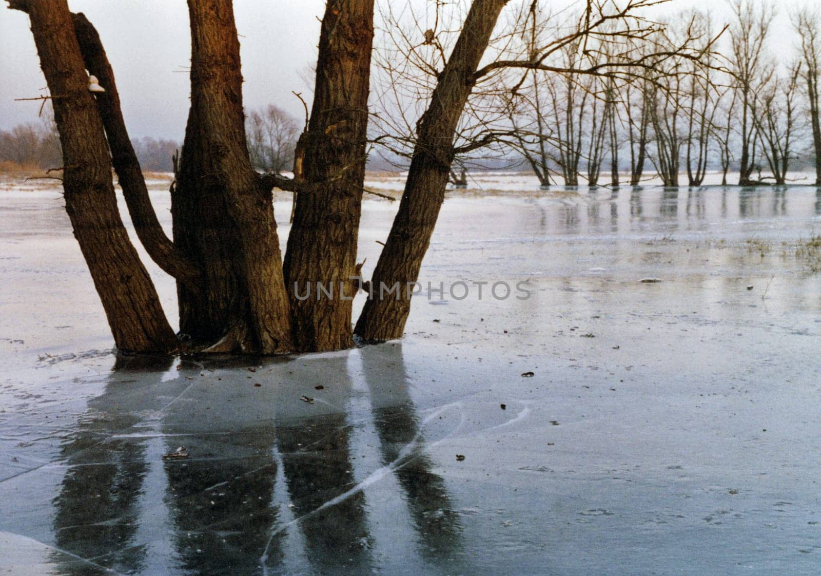 icy