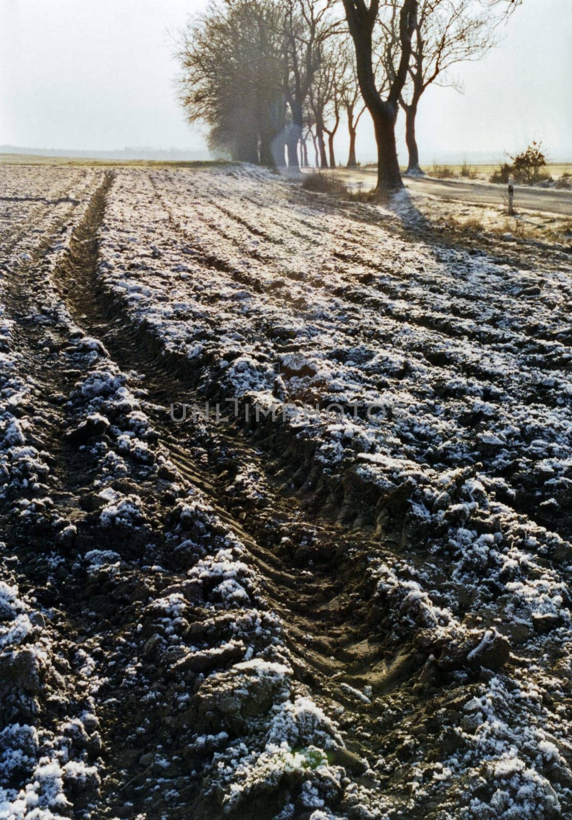 Winter arable land