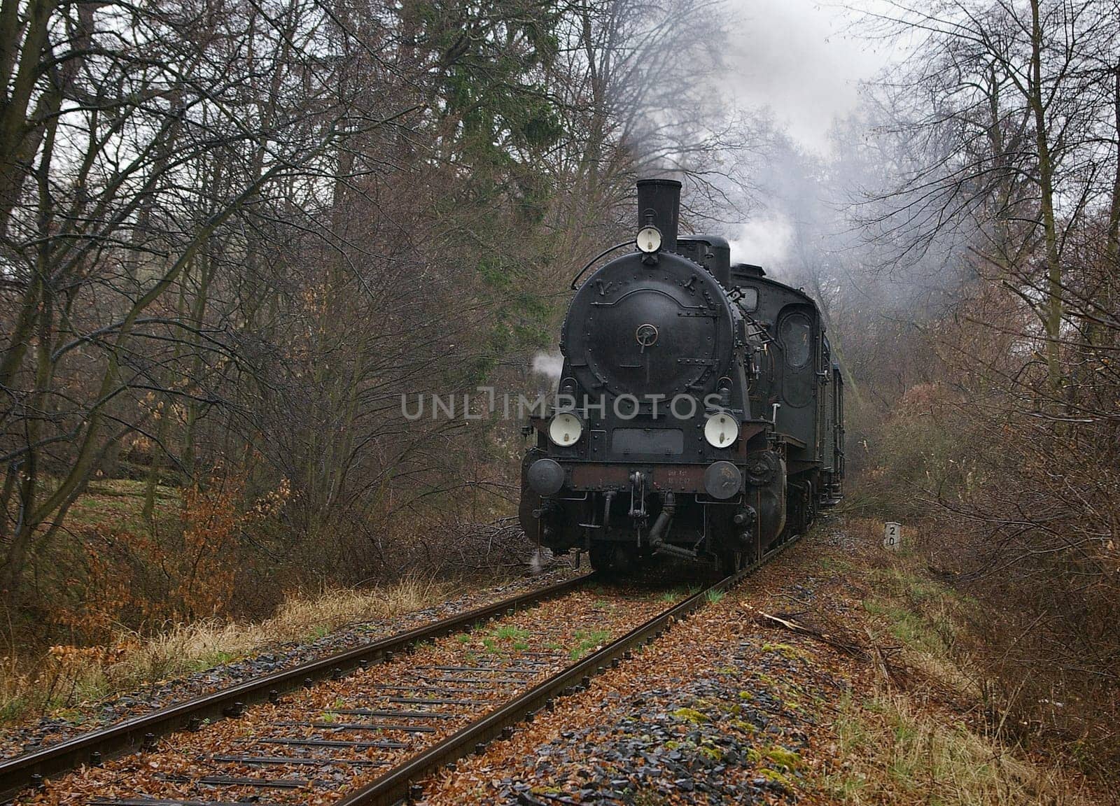 Autumn steam