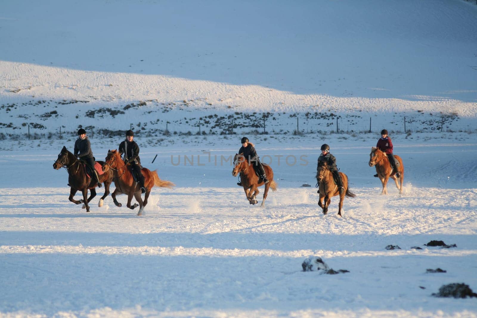 ... lies on the back of the horses