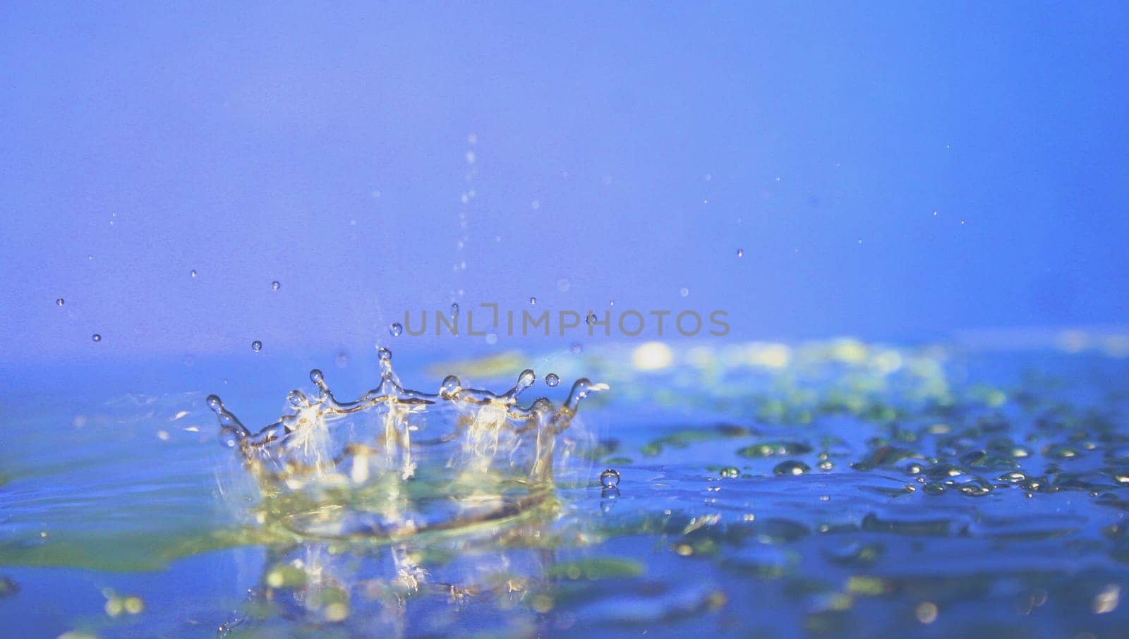 Waterdrop