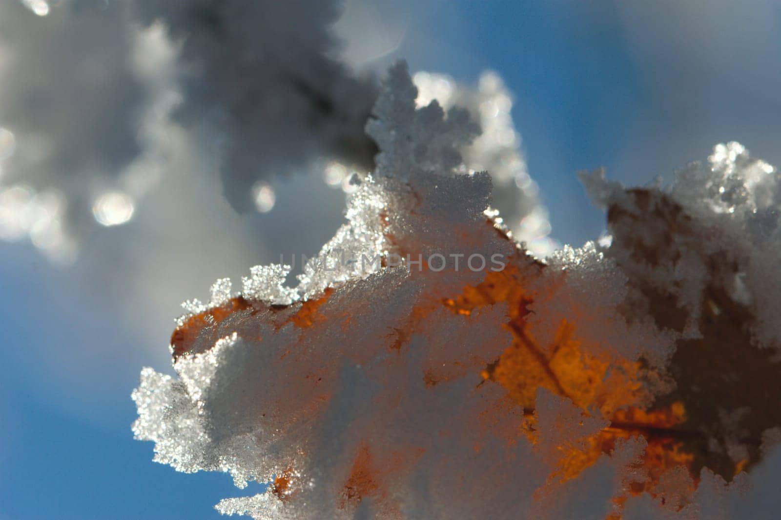 Snow Edge