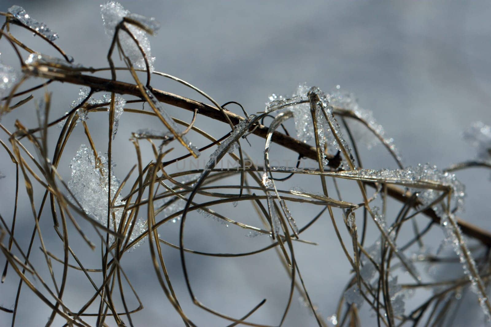 Ice glitter