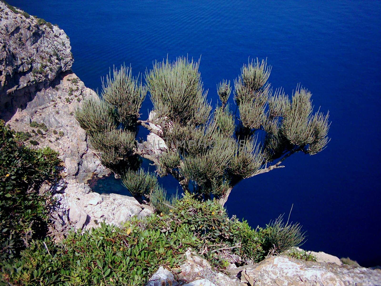 Cap Formentor Mallorca