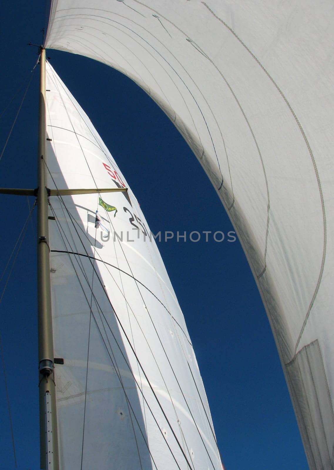 The rig is the rigging of a sailing ship,consisting of spars (masts,trees,gaffs),standing rigging (shrouds,stays) and running rigging (sheets,traps).