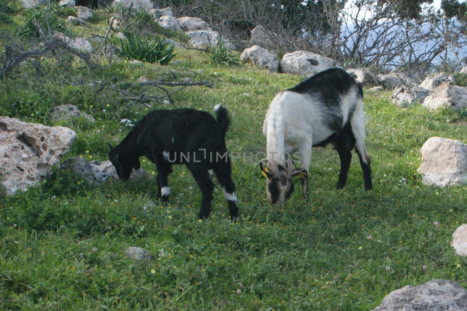 Cyprus - Present and Past