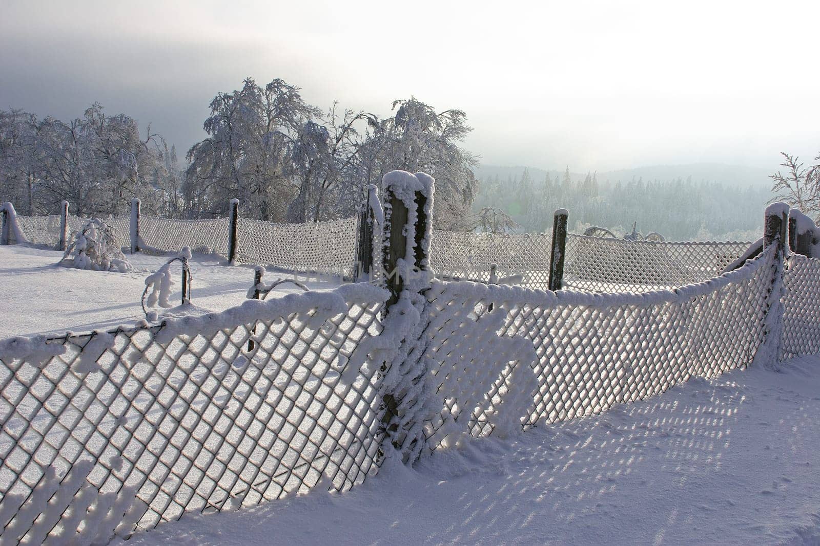 freezing cold the wind and the air...