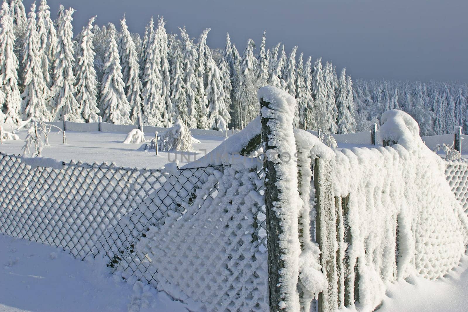 fenced