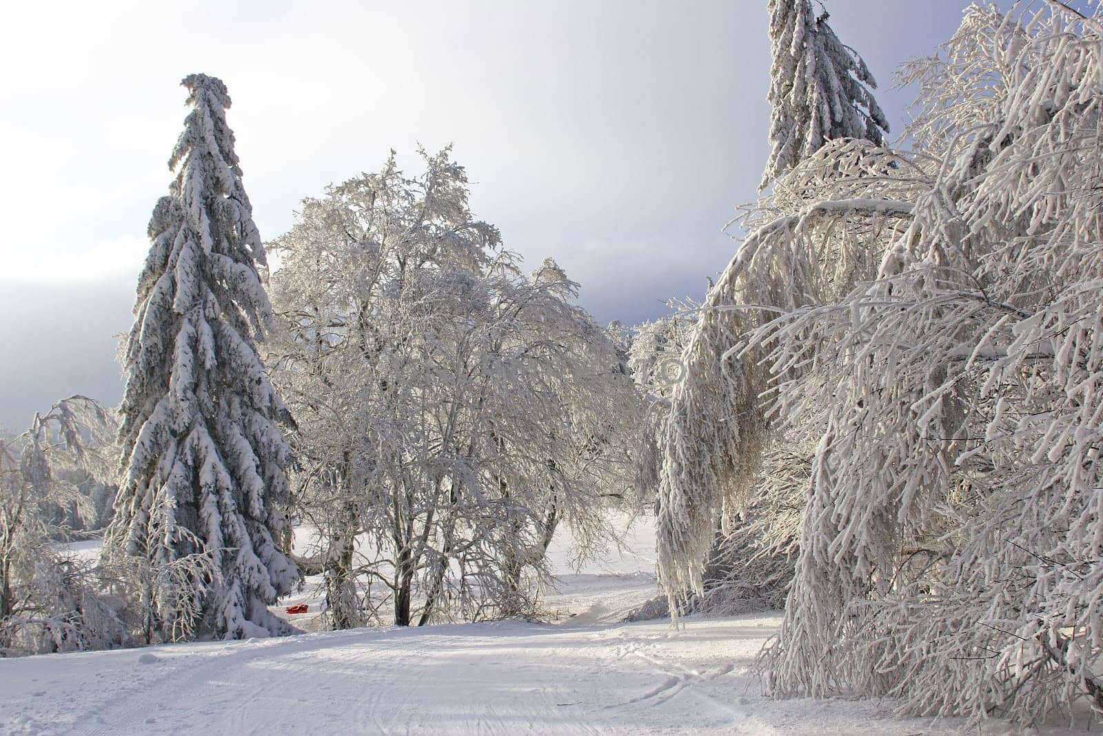 Snow load