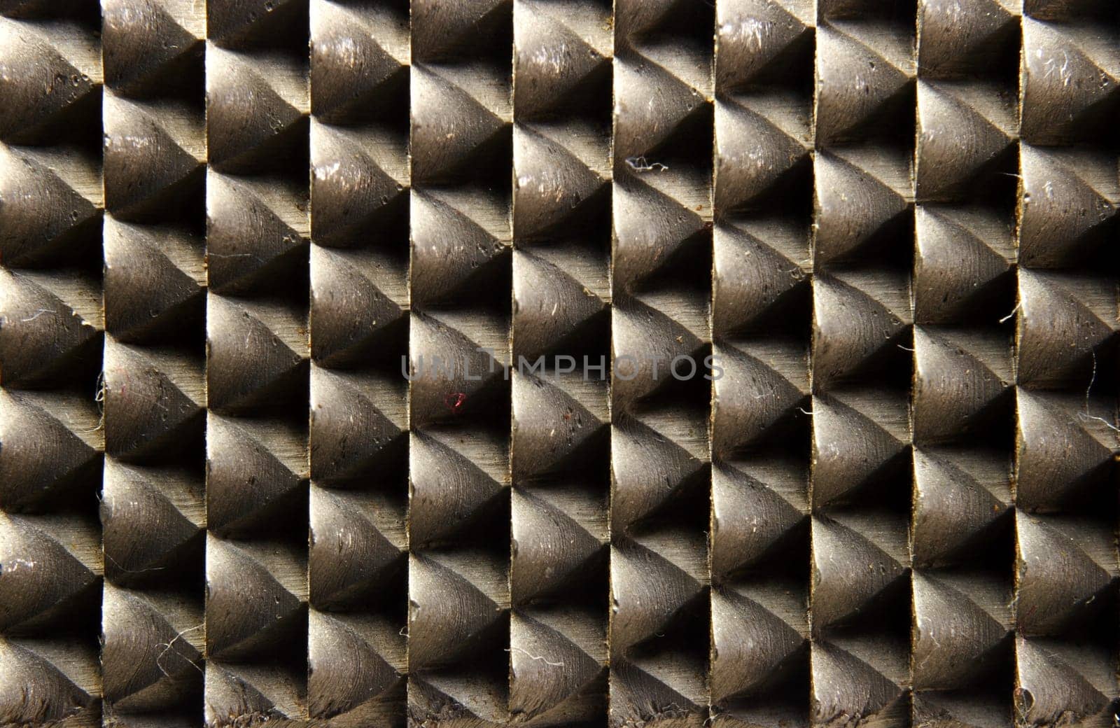 Rasp Detail 3