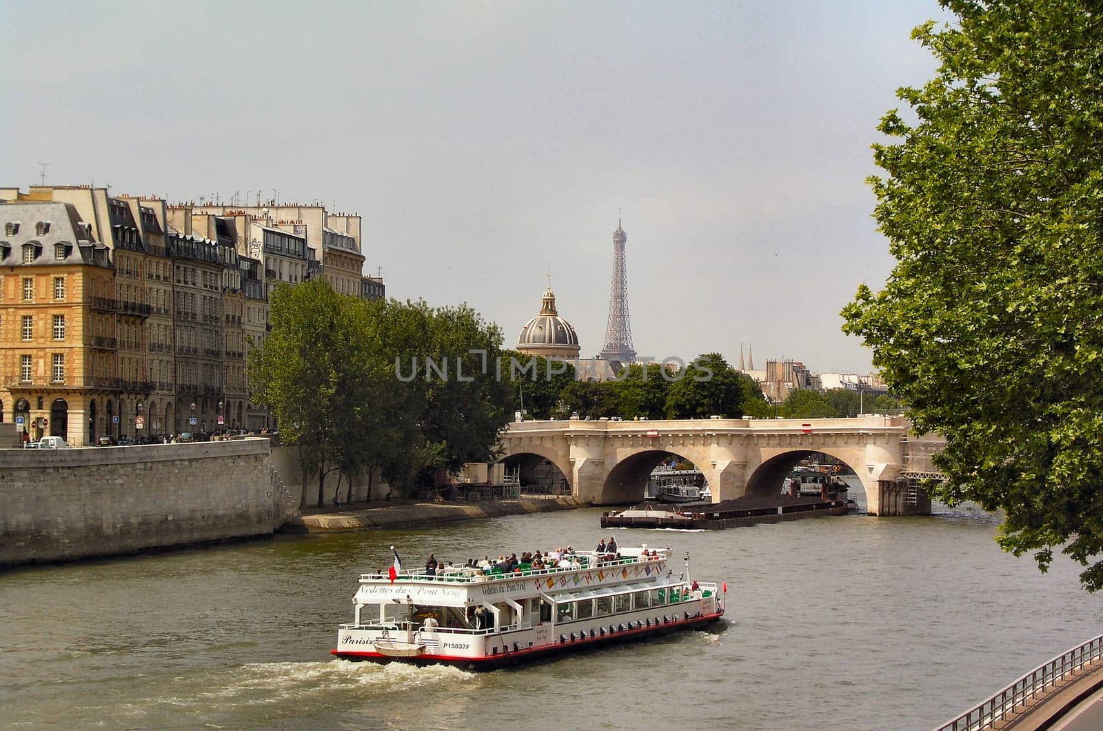Seine Pont Neuf