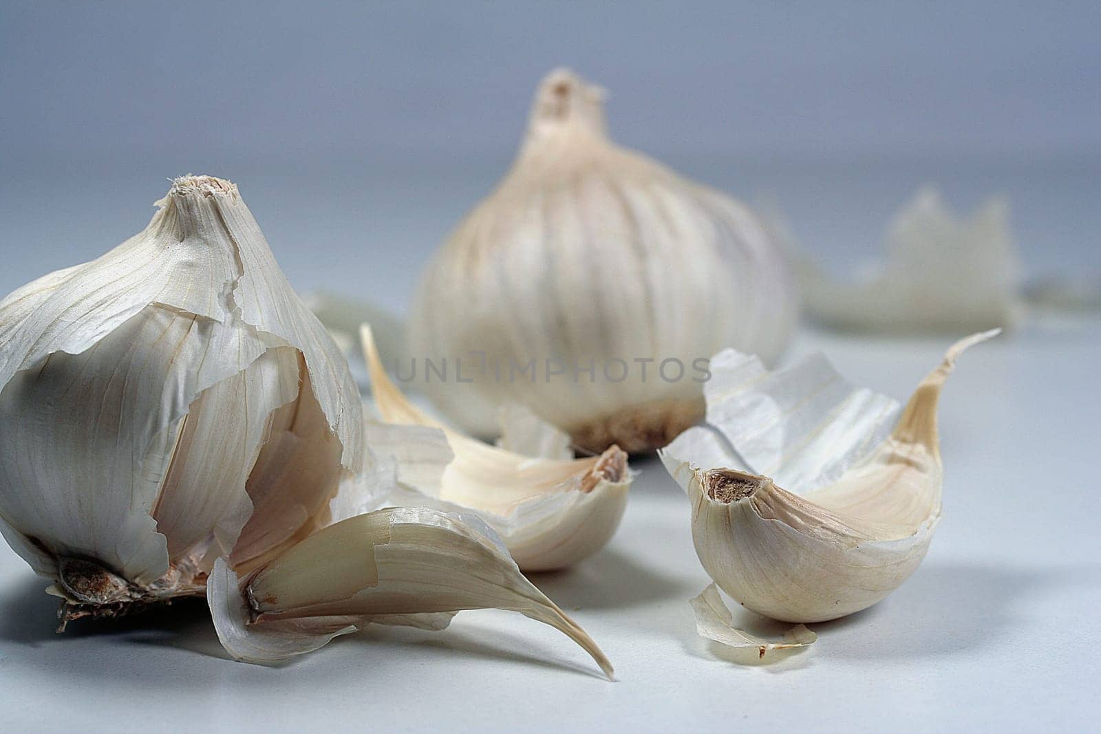 Garlic