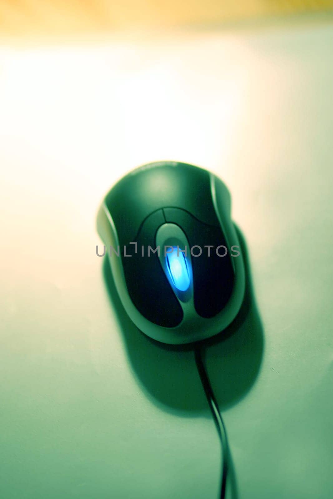 Computer Mouse