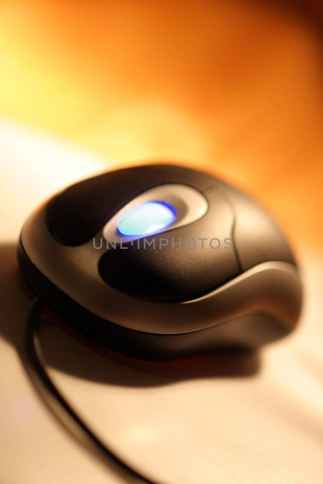 Mouse in action