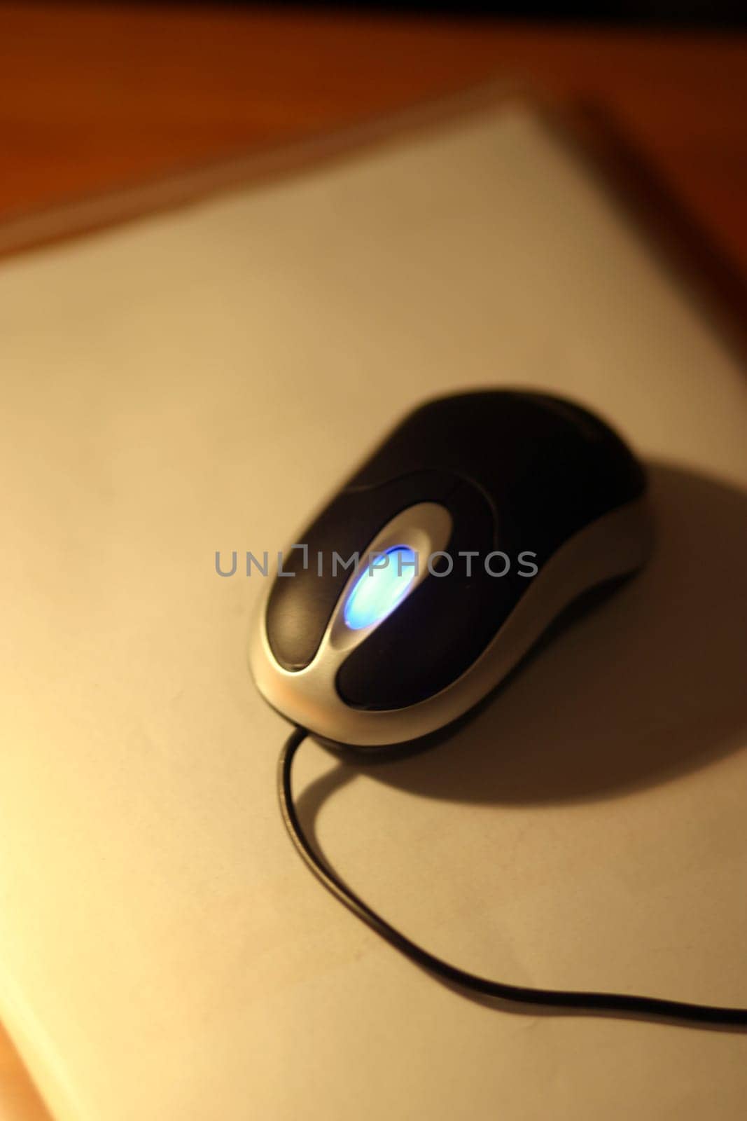 Computer Mouse