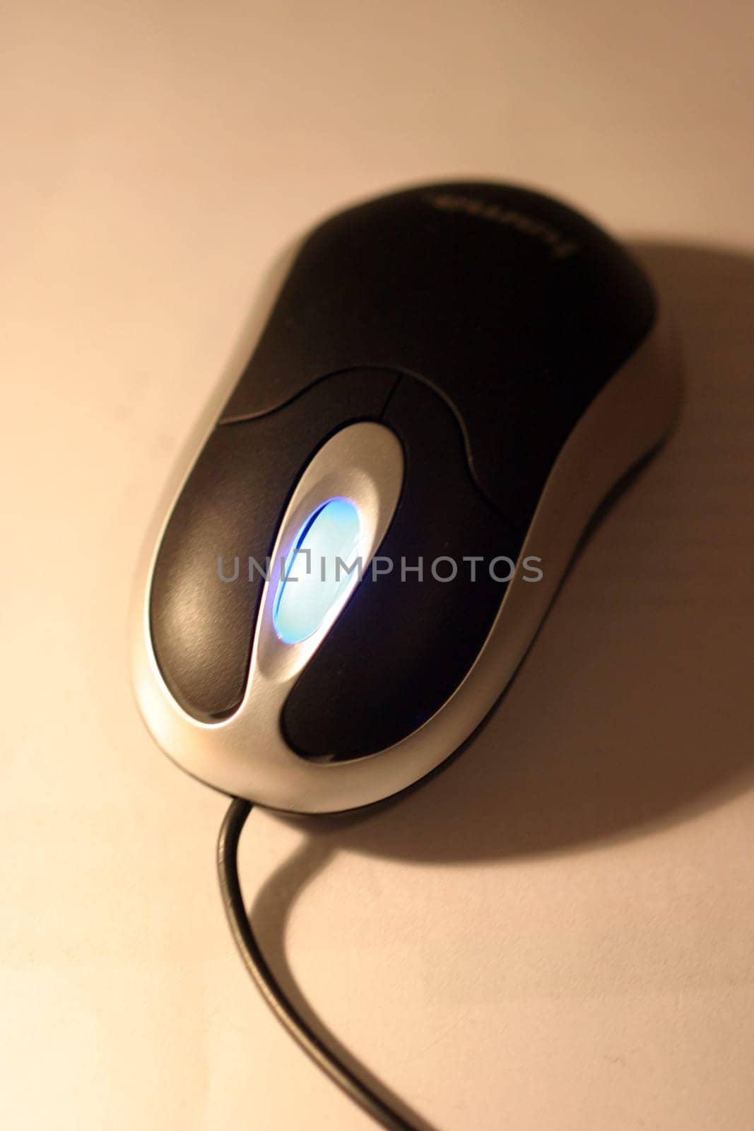 Mouse