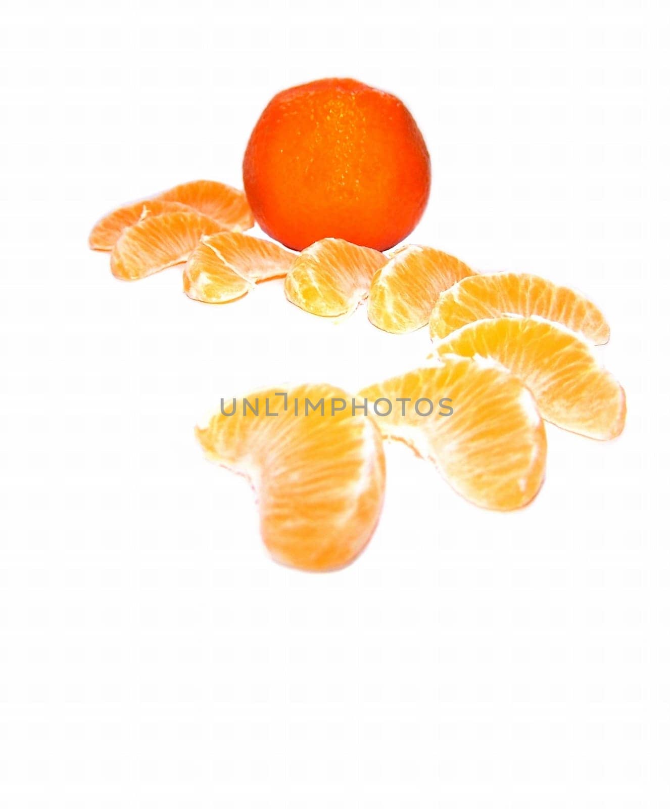 Tangerine Trail