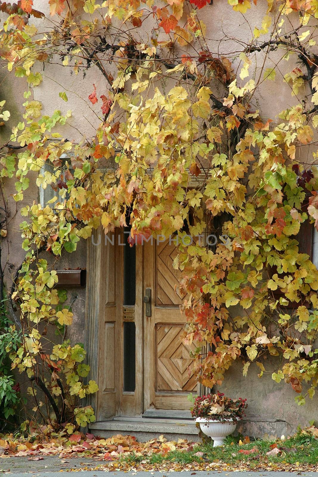 Autumnal door