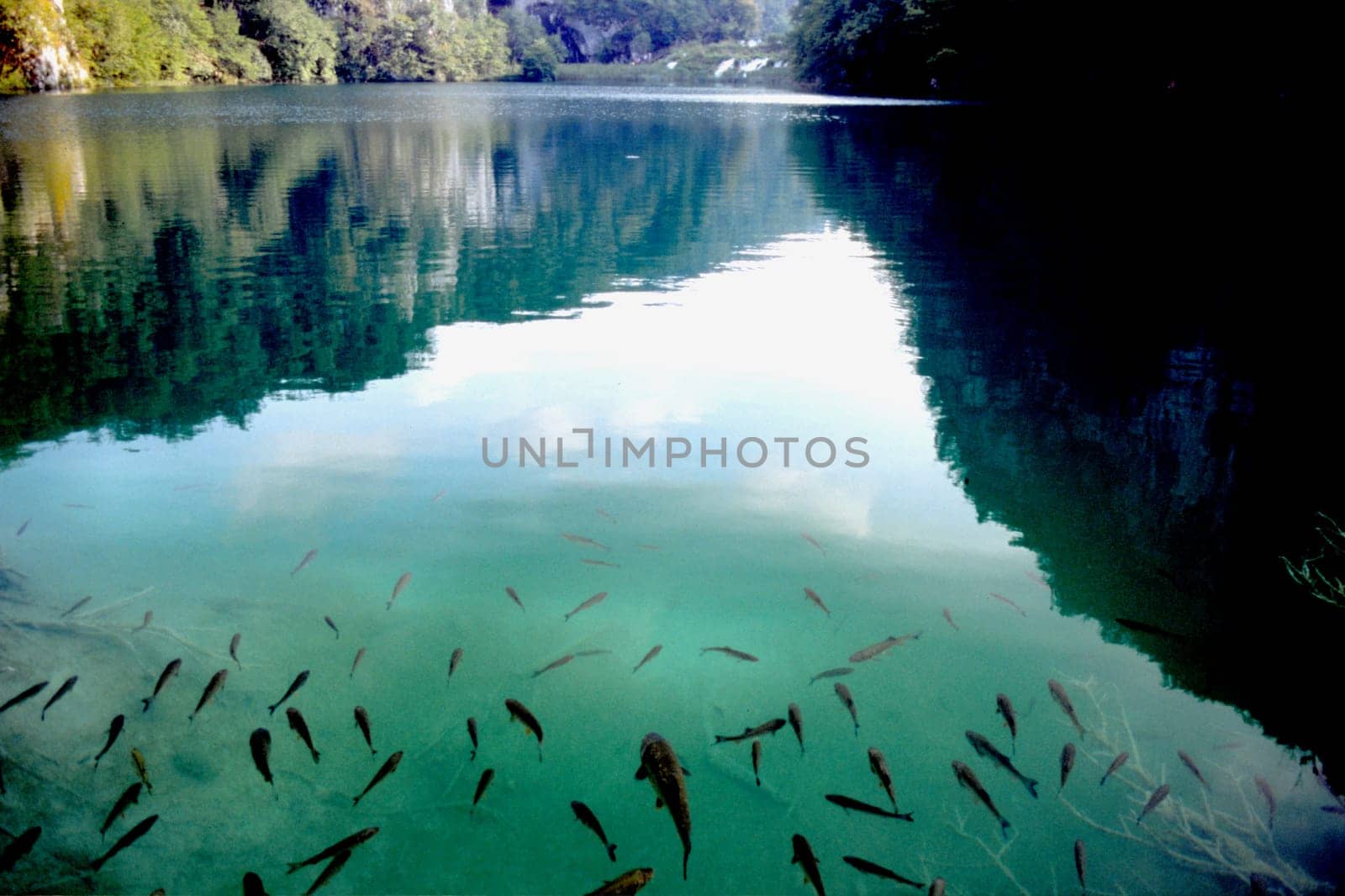 Plittwitz Lakes,Croatia