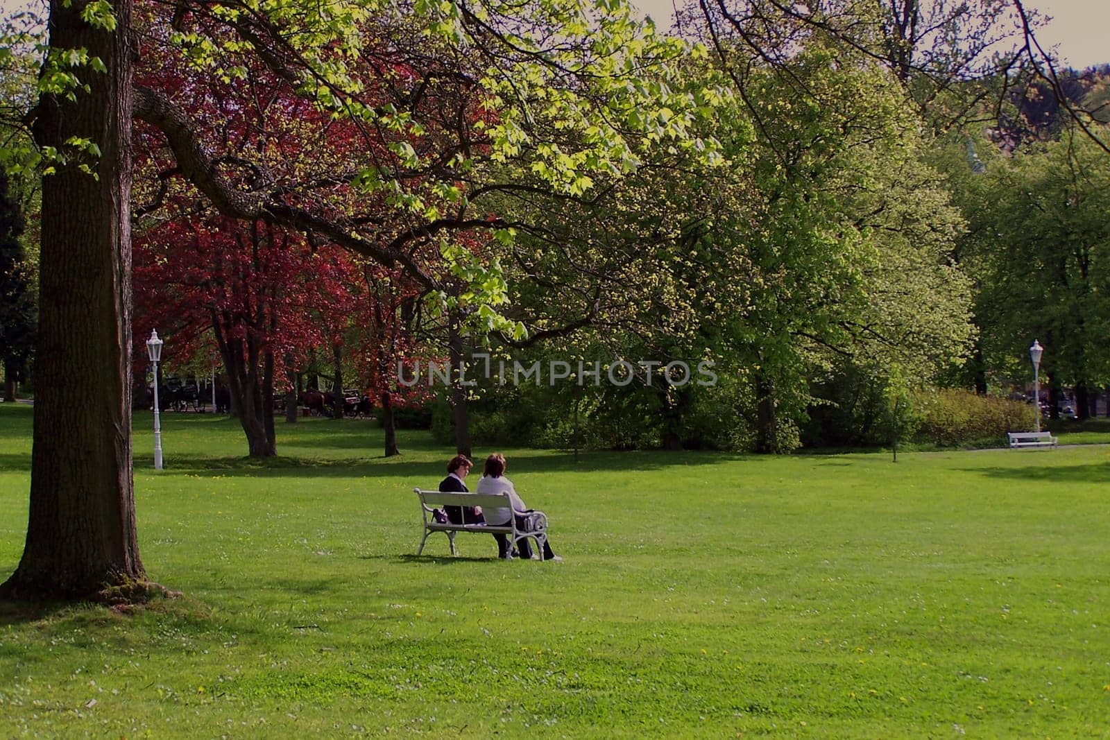 Talk in the Park