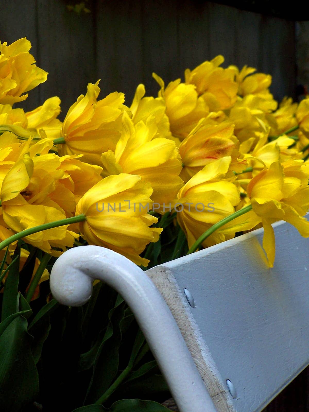 Spring...