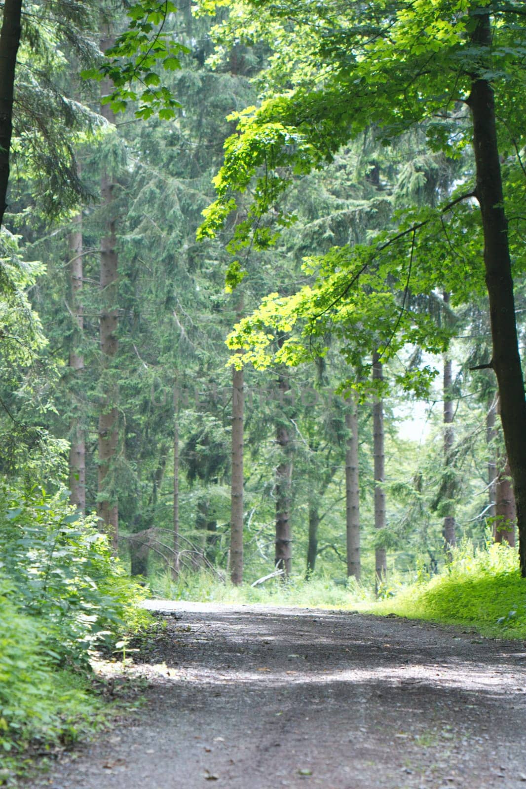 The long way home