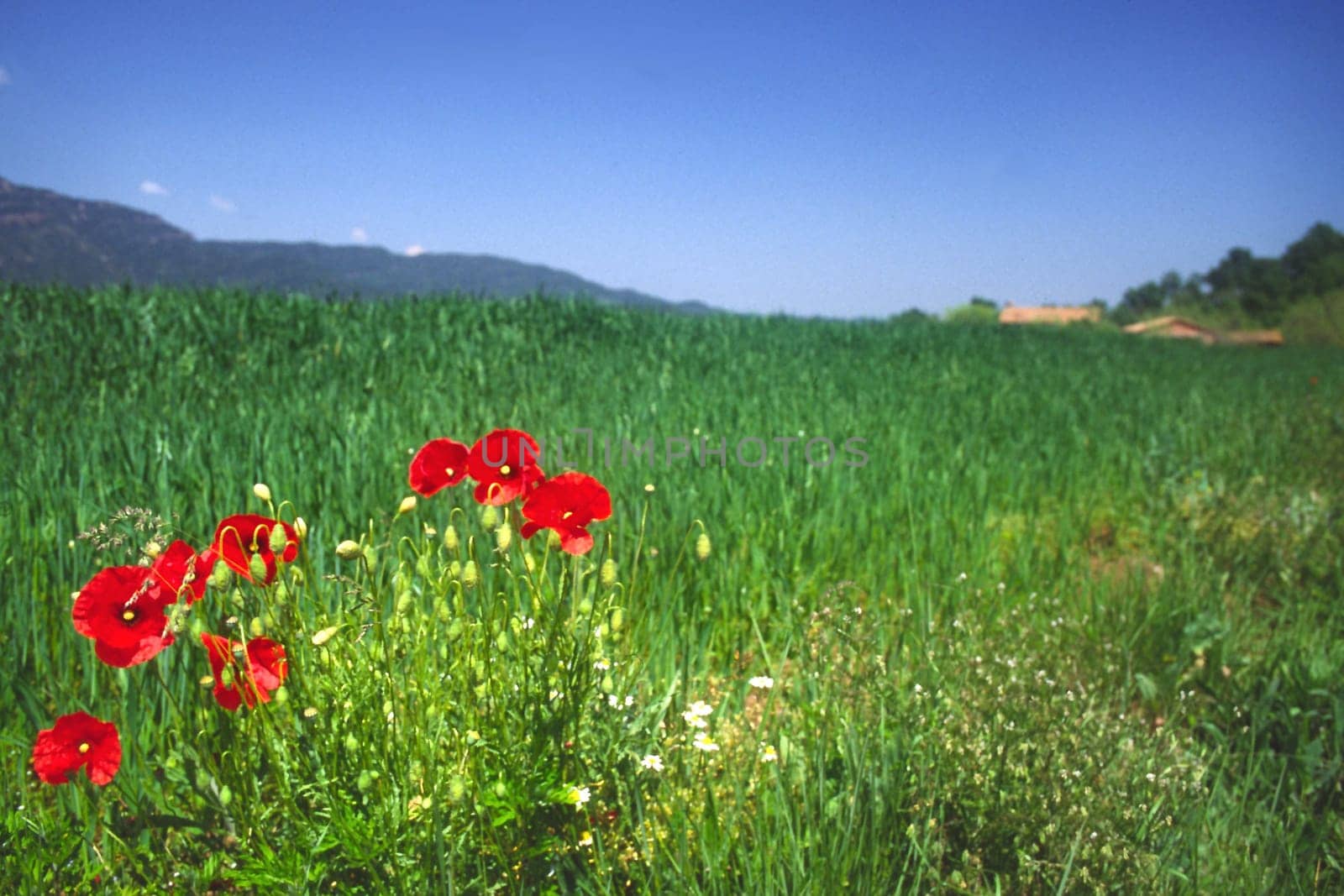 Somewhere in Catalonia (28mm,aperture 3.5,1/1000s)