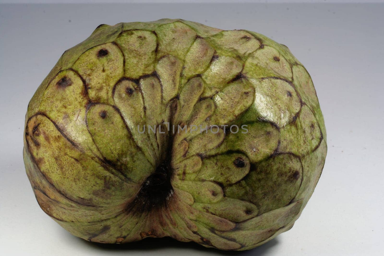 Cherimoya I