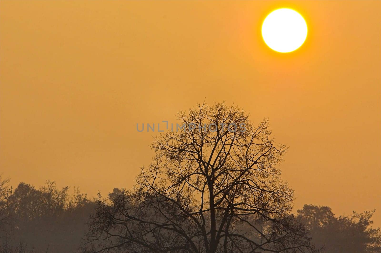 Inversion