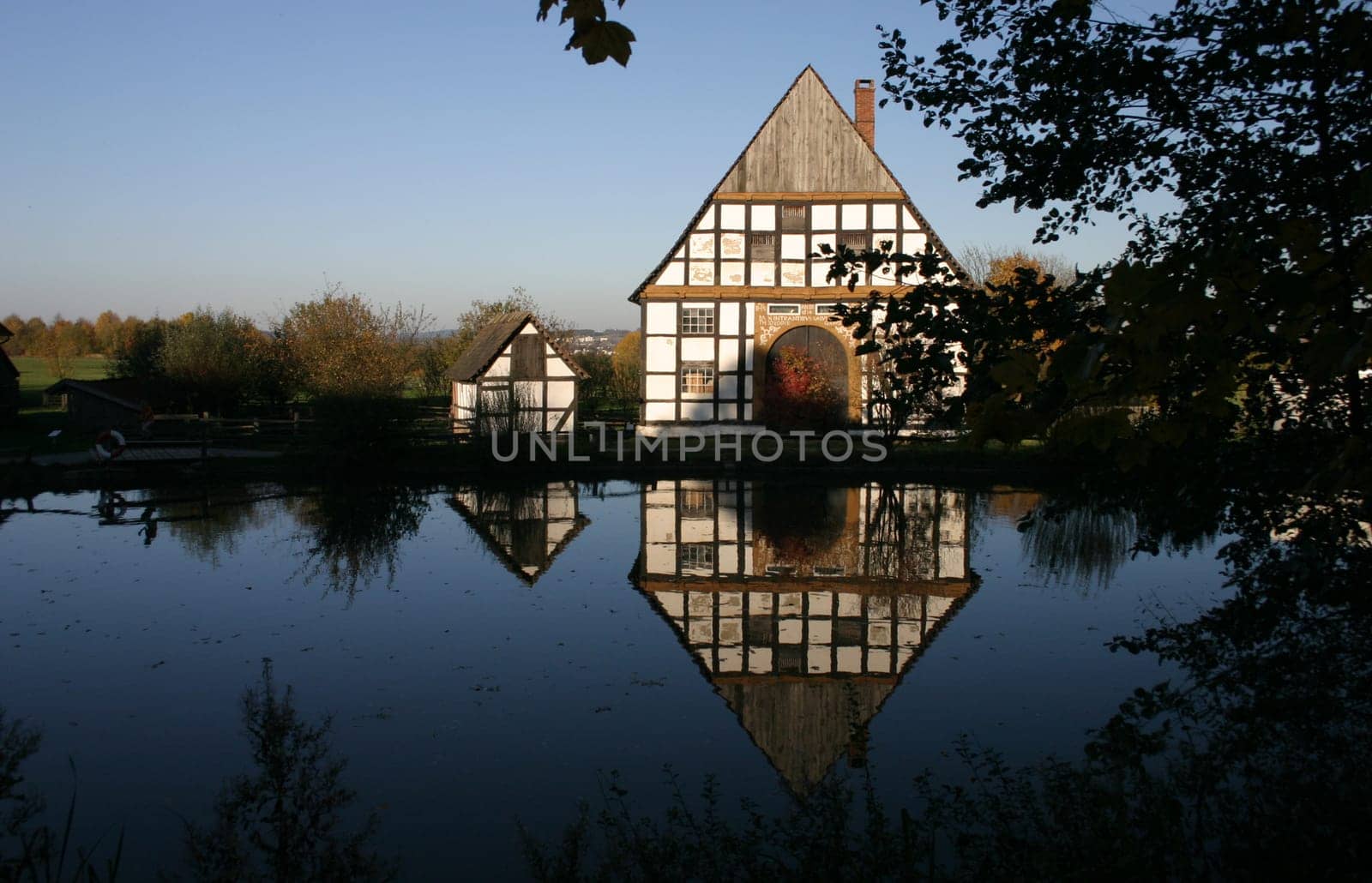 Village pond in the evening