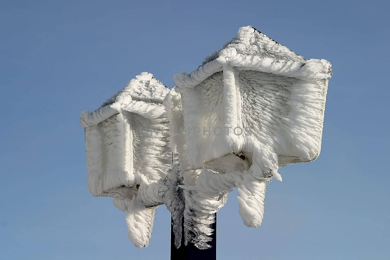 Lamps on the Feldberg,from the front